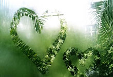 [CBA]常规赛1月19日：浙江VS辽宁 弗格集锦.