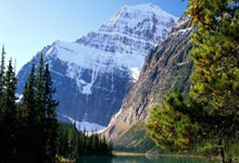 21支代表队角逐2024—2025赛季全国短道速滑冠军赛3-23 20：14.